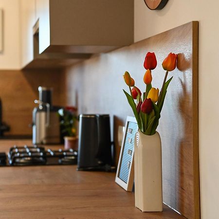 Veliki Apartman Petra 포세다르예 외부 사진
